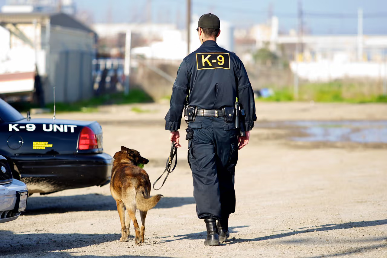 K9 Security Services